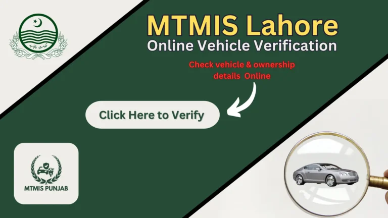 MTMIS Lahore Online Vehicle Verification image searching the vehicle