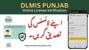 DLMIS punjab online driving license verification and check complete guide